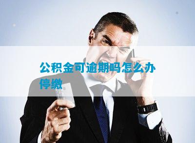 公积金可逾期吗怎么办停缴