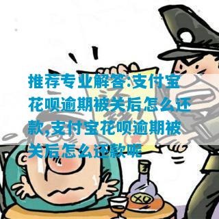 推荐专业解答:支付宝花呗逾期被关后怎么还款,支付宝花呗逾期被关后怎么还款呢