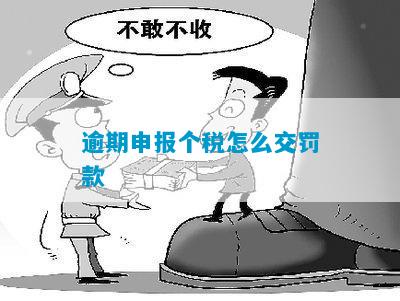 逾期申报个税怎么交罚款