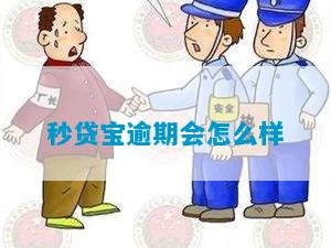 秒贷宝逾期会怎么样