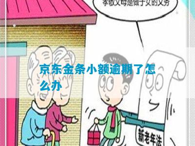 京东金条小额逾期了怎么办