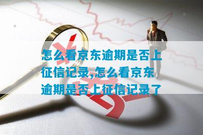 怎么看京东逾期是否上征信记录,怎么看京东逾期是否上征信记录了