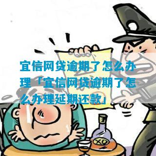 宜信网贷逾期了怎么办理「宜信网贷逾期了怎么办理延期还款」