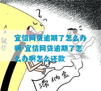 宜信网贷逾期了怎么办啊-宜信网贷逾期了怎么办啊怎么还款