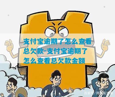 支付宝逾期了怎么查看总欠款-支付宝逾期了怎么查看总欠款金额