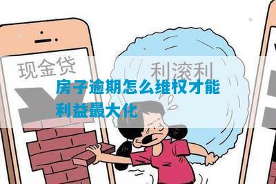 房子逾期怎么维权才能利益最大化