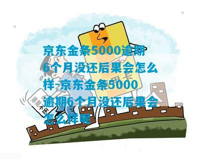 京东金条5000逾期6个月没还后果会怎么样-京东金条5000逾期6个月没还后果会怎么样呢