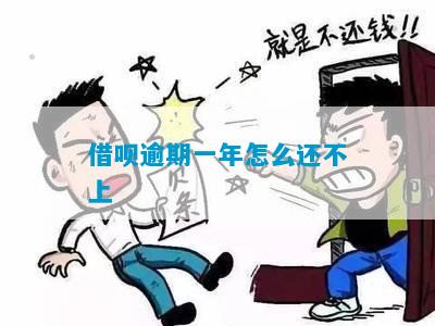 借呗逾期一年怎么还不上