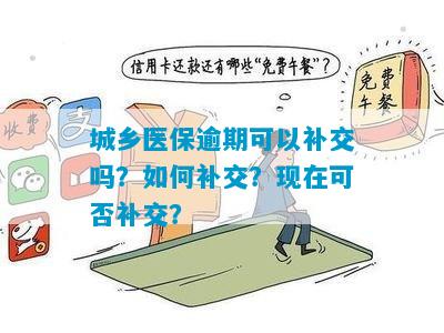 城乡医保逾期可以补交吗？如何补交？现在可否补交？