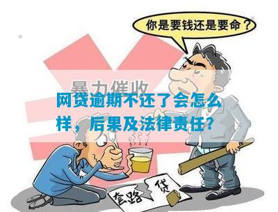 网贷逾期不还了会怎么样，后果及法律责任？