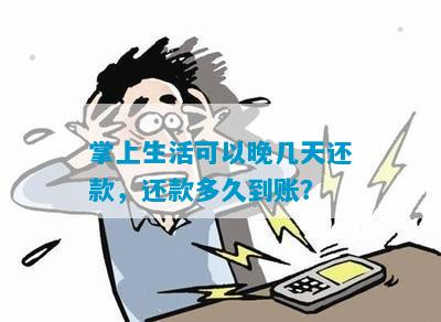 掌上生活可以晚几天还款，还款多久到账？