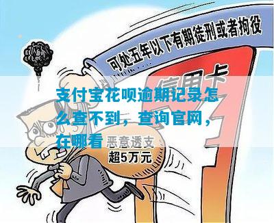 支付宝花呗逾期记录怎么查不到，查询官网，在哪看