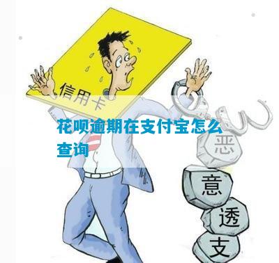 花呗逾期在支付宝怎么查询