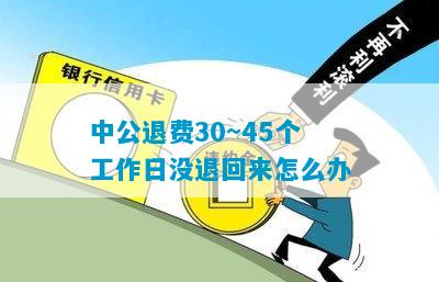 中公退费30~45个工作日没退回来怎么办