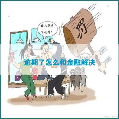 逾期了怎么和金融解决