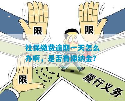 社保缴费逾期一天怎么办啊，是否有滞纳金？