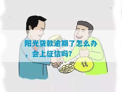 阳光贷款逾期了怎么办，会上征信吗？